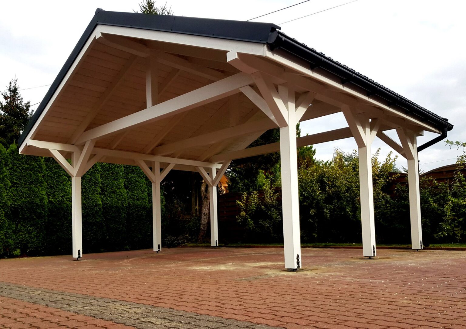 71471380 696719884152048 3868616793153077248 n